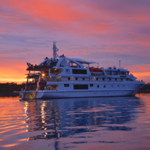 Coral Expeditions - Coral Discoverer Jar Island