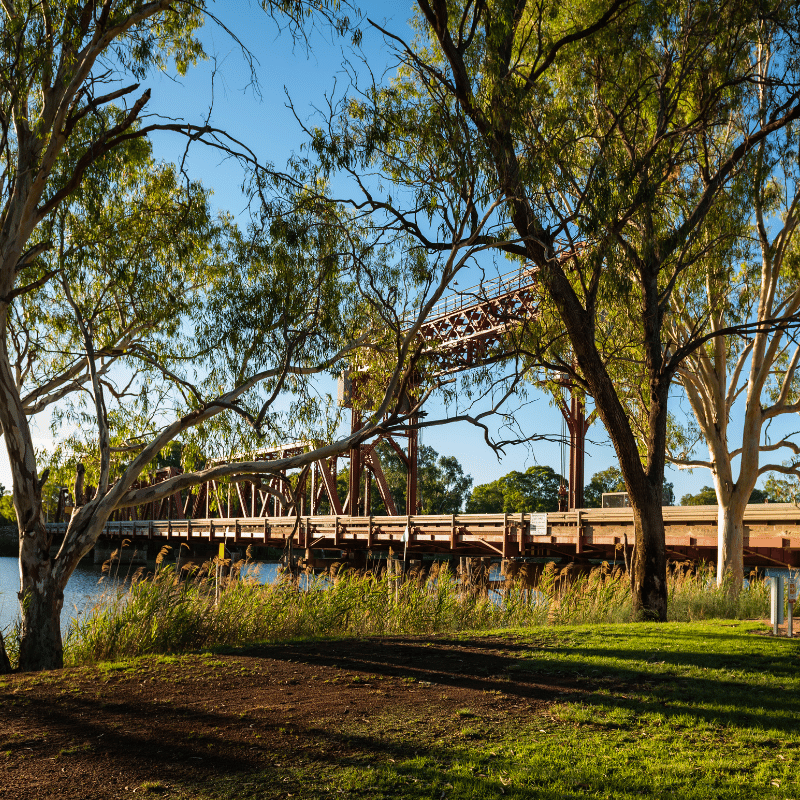 Bridge at Paringa